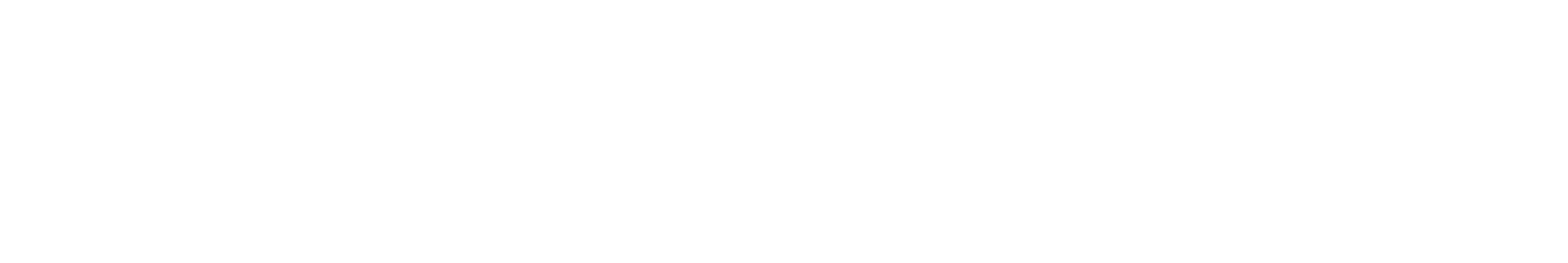 dns corporate advisory